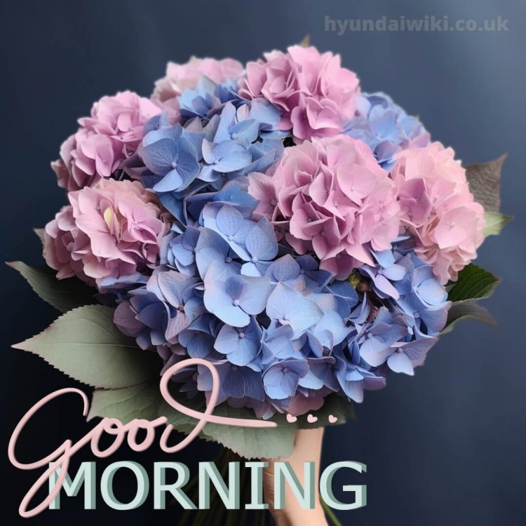 Good morning images romantic picture hydrangeas gratis
