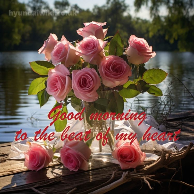 Good morning romantic rose picture lake gratis
