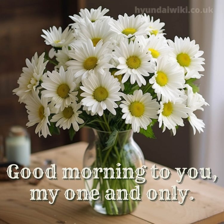 Romantic good morning love images picture daisies gratis