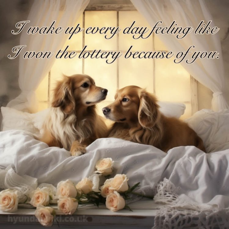 Love romantic good morning status picture dogs gratis