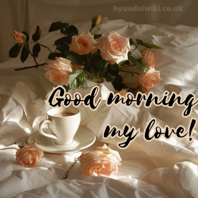 Romantic good morning messages picture roses gratis